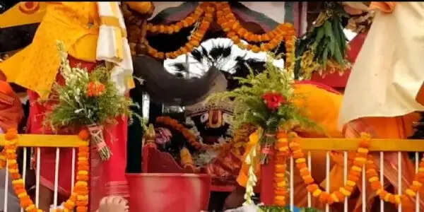 जय जगन्नाथ के जयघोष से गूंजा पूर्णिया, श्रद्धा और उल्लास के साथ निकली भव्य रथयात्रा