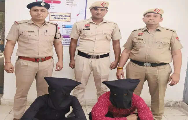 सोनीपत: गेमिंग टास्क ठगी गिरोह पकड़ा तीन आरोपी गिरफ्तार जेल भेजे