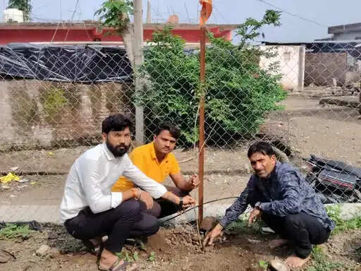 आदिवासी दिवस पर गूंजी संस्कृति की थाप, ग्वालियर में निकली विशाल रैली,&nbsp;बुरहानपुर में पौधारोपण किया