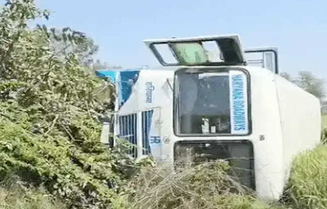 सोनीपत: नीलगाय बचाने के प्रयास में रोडवेज बस पलटी, चालक परिचालक यात्री घायल