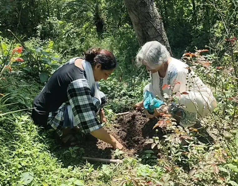 जैवविविधता व पर्यावरण सुरक्षा के लिए पेड़ पौधों के महत्व पर की चर्चा