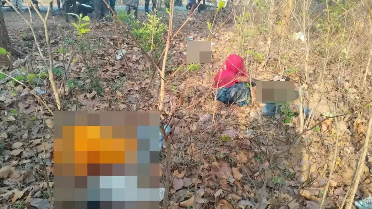 भीषण सड़क हादसा : मोटरसाइकिल अनियंत्रित होकर पेड़ से टकराई, तीन की मौत