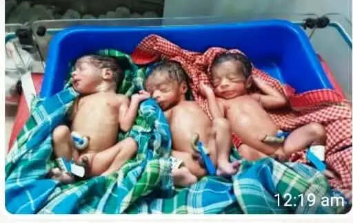 स्वास्थ्य विभाग की तत्परता से पहाड़ी कोरवा महिला ने एक साथ तीन स्वस्थ बच्चों को दिया जन्म