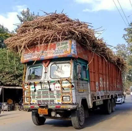 गन्ना वाहनों पर लगवाए रिफ्लेक्टर पट्टी और कराए पेंट: सेल्वा कुमारी जे.