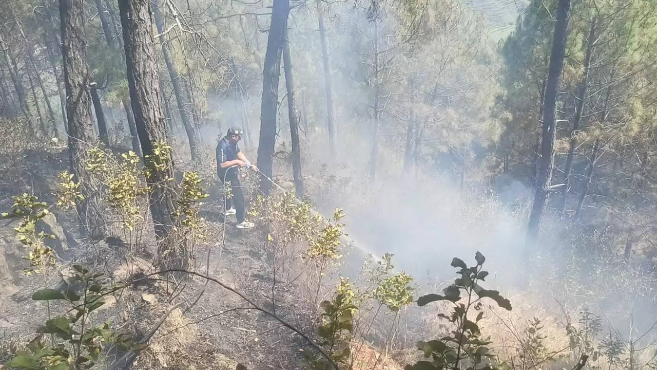 रिखणीखाल व घोडीखाल के जंगल में लगी आग