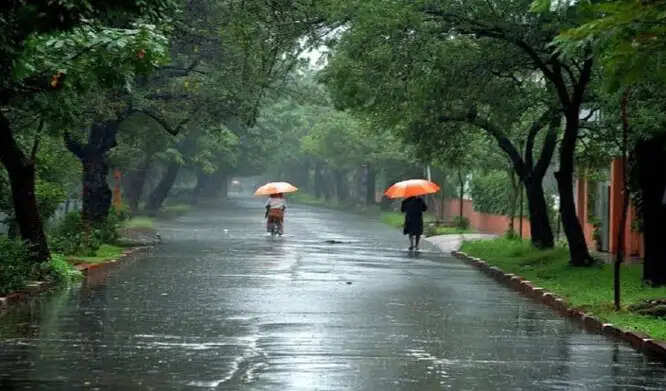 बीजापुर जिले में एक जून से अब तक 292.8 मिमी औसत वर्षा दर्ज