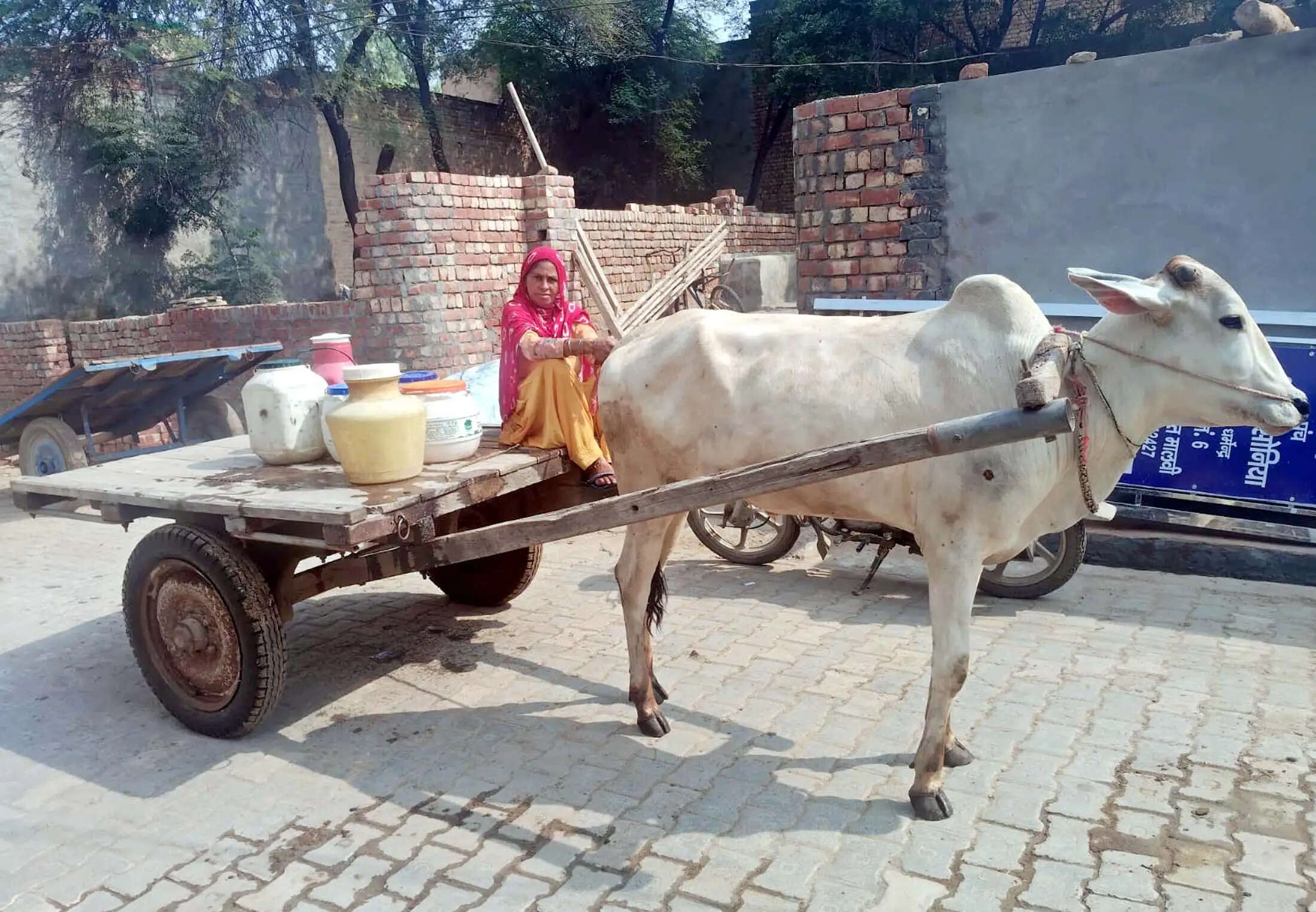 जींद : बिजली कर्मचारियों की हड़ताल से बिगड़े हालात