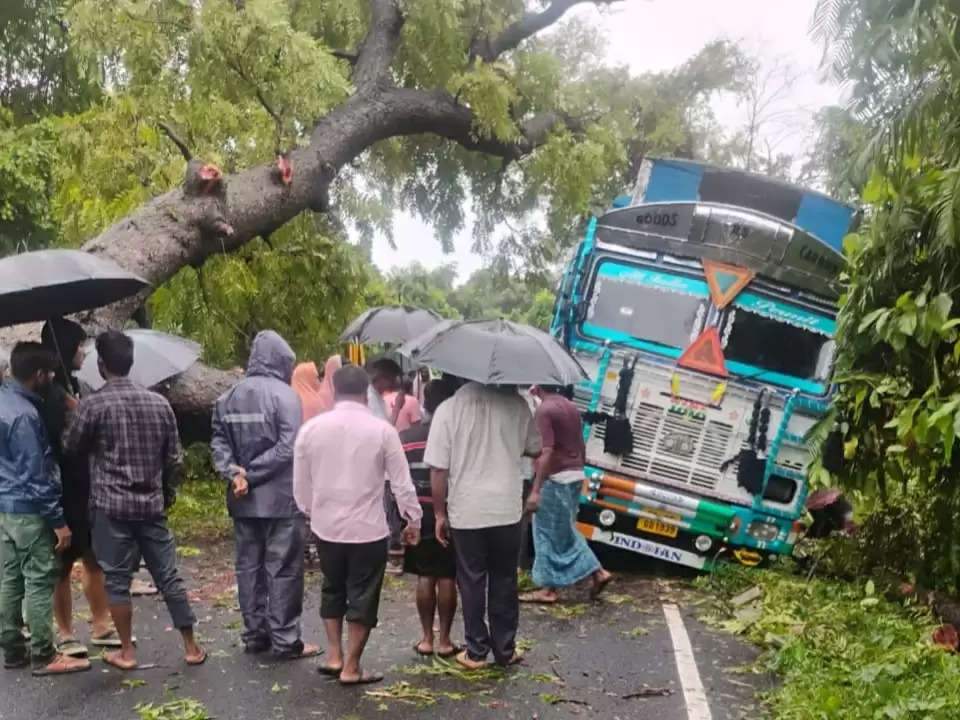 11 हजार के बिजली के तार पर गिरा दो पेड़,विद्युत सप्लाई बाधित