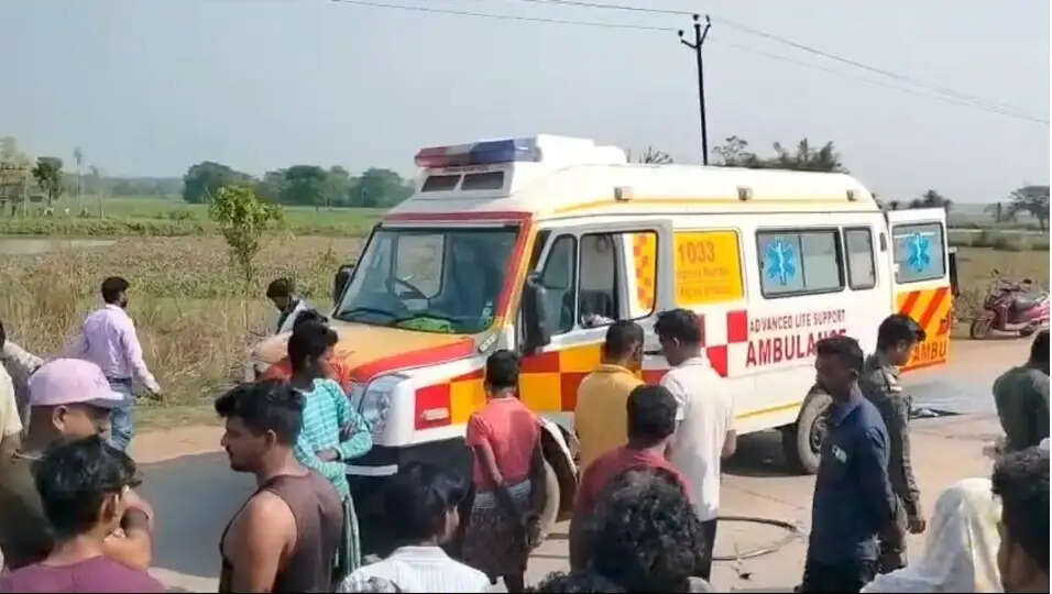 खण्डामौदा में सड़क हादसे में टेम्पो चालक की मौत,चार लोग घायल