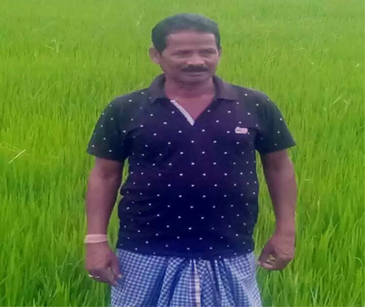 कम लागत में अधिक मुनाफा दिला रही प्राकृतिक खेती, जीवामृत, नीमास्त्र और हरी खाद से सशक्त होती मिट्टी