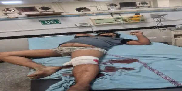 नूंह पुलिस ने मुठभेड़ में दबोचा गो-तस्कर, पांच गोवंश मुक्त