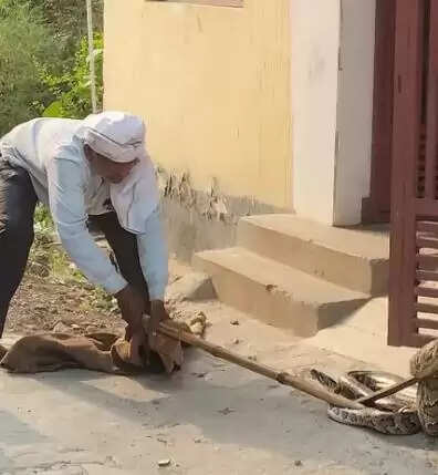 देवरिया में स्कूल के निकट दिखा दस फीट का अजगर, वन विभाग ने पकड़ कर जंगल में छोड़ा