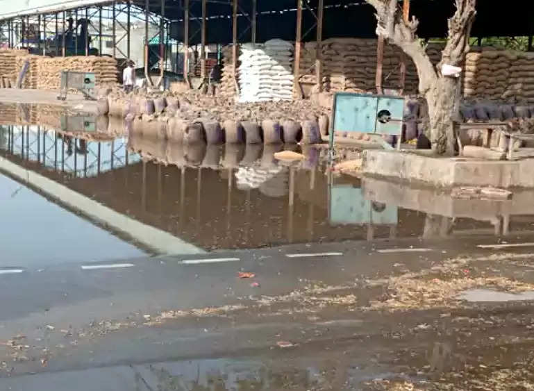 बरसात से खुले में पड़ा गेहूं भीगा, मंडी में पानी निकासी और गेहूं के उठाव को लेकर आंदोलन