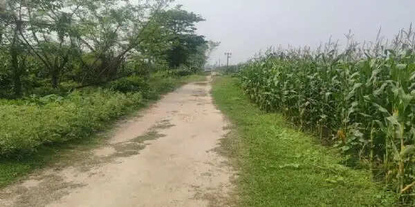 भीमनगर में 2.77 किमी सड़क निर्माण शुरू नहीं, समयसीमा पूरी होने में बचे केवल तीन महीने