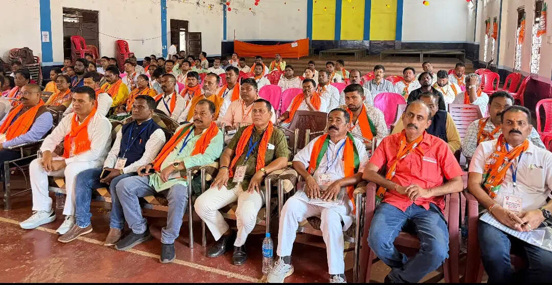 भाजपा का प्रशिक्षण महाअभियान संपन्न,&nbsp;पंचायत चुनाव की तैयारी में जुटने का आह्वान