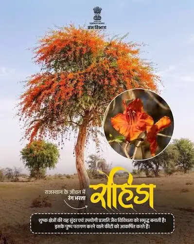 रोहिड़ा संरक्षण को जन-आंदोलन बनाने के लिए ‘‘सेल्फी विद रोहिड़ा’’ अभियान का शुभारंभ