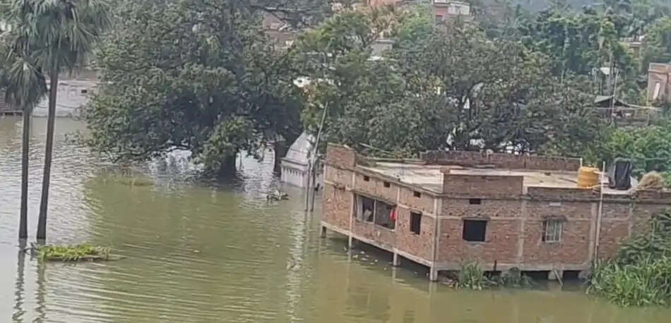 नवगछिया में गंगा-कोसी के जलस्तर में गिरावट जारी, राहत के बीच तटबंधों पर बढ़ा दबाव