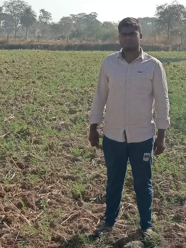 जांजगीर : पोस्ट ग्रेजुएट किसान नवनीत कर रहे रागी की खेती, मिलेट्स फसलों को दिया जा रहा बढ़ावा