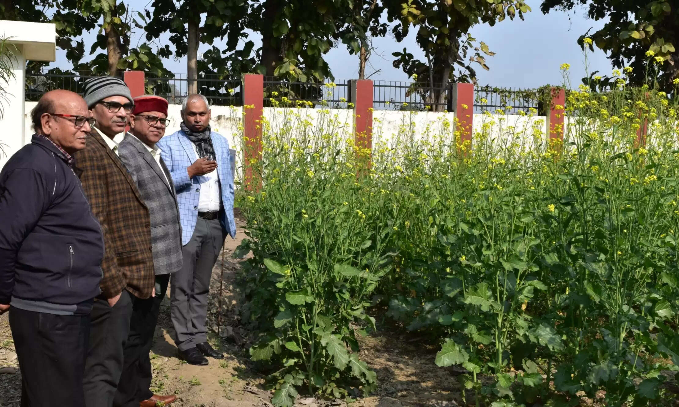 वैज्ञानिक तकनीक को जमीनी स्तर पर पहुंचाने के लिए केवीके बेहतर विकल्प : निदेशक