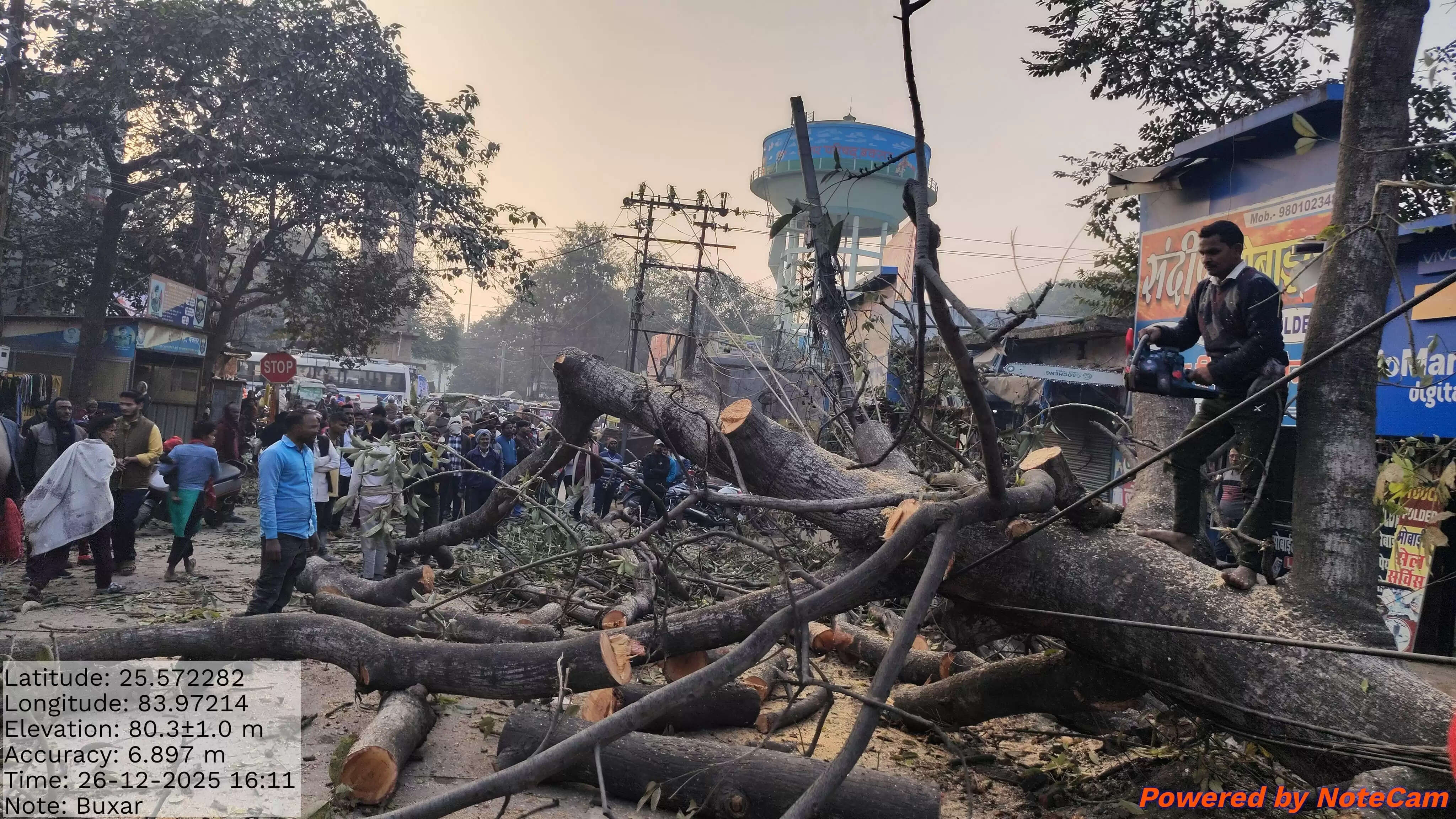 नाला निर्माण के दौरान सड़क पर गिरा पेड़, घंटों बाधित रहा यातायात
