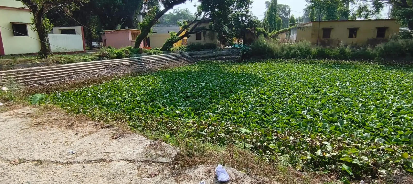 त्रिवेणीगंज का सरकारी तालाब बदहाली का शिकार, जल जीवन मिशन पर उठे सवाल