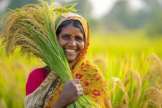 जीरे की वैज्ञानिक खेती से बढ़ेगी किसानों की आय