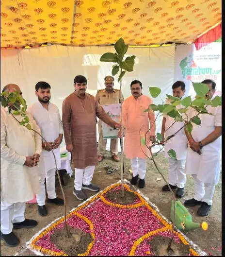 पौधरोपण महायज्ञ : 04 बजे तक प्रदेश भर में लगाये गये 30 कराेड़ पौधे