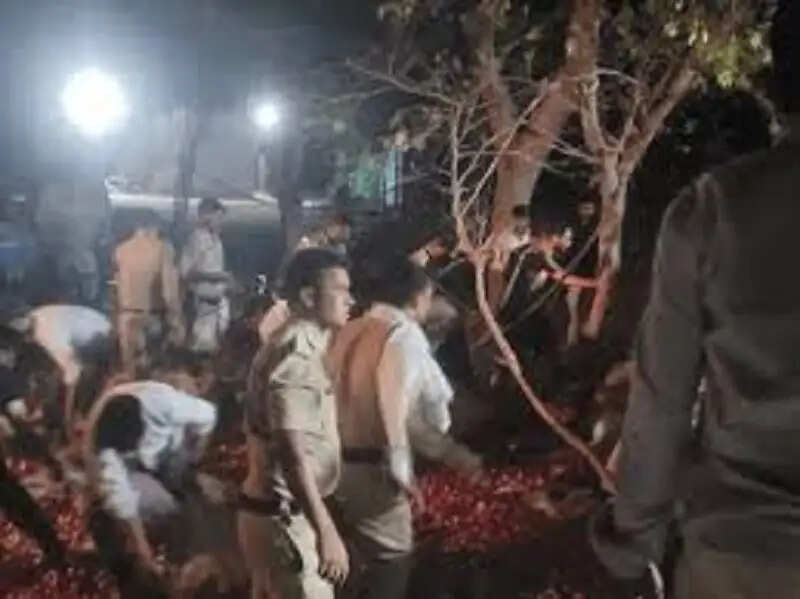 देवास&nbsp;में प्याज से भरा मिनी ट्रक पलटा, तीन मजदूरों की मौत, दो गंभीर घायल