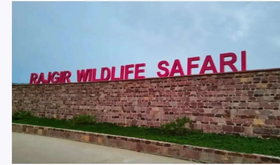 होली पर्व पर नेचर और जू सफारी तीन दिन और रोपवे दो दिन किया गया बंद