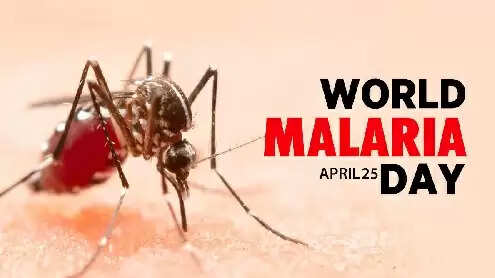 विश्व मलेरिया दिवस: मलेरिया उन्मूलन के लिए किए जाएंगे नवाचार