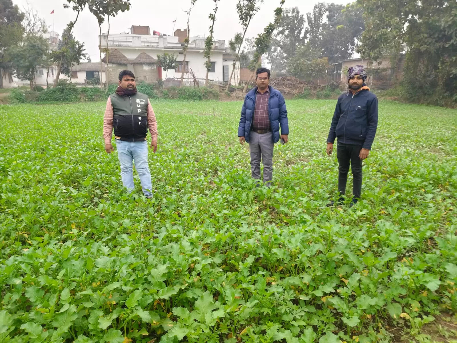 सरसों डेमो ने बदली किसानों की तस्वीर, कम लागत में बंपर पैदावार से बढ़ेगा मुनाफा: डीएओ