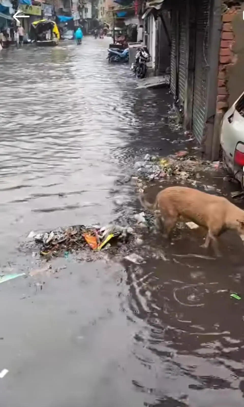 मुरादाबाद में दिन भर हुई झमाझम बारिश, पानी से लबालब हुआ शहर