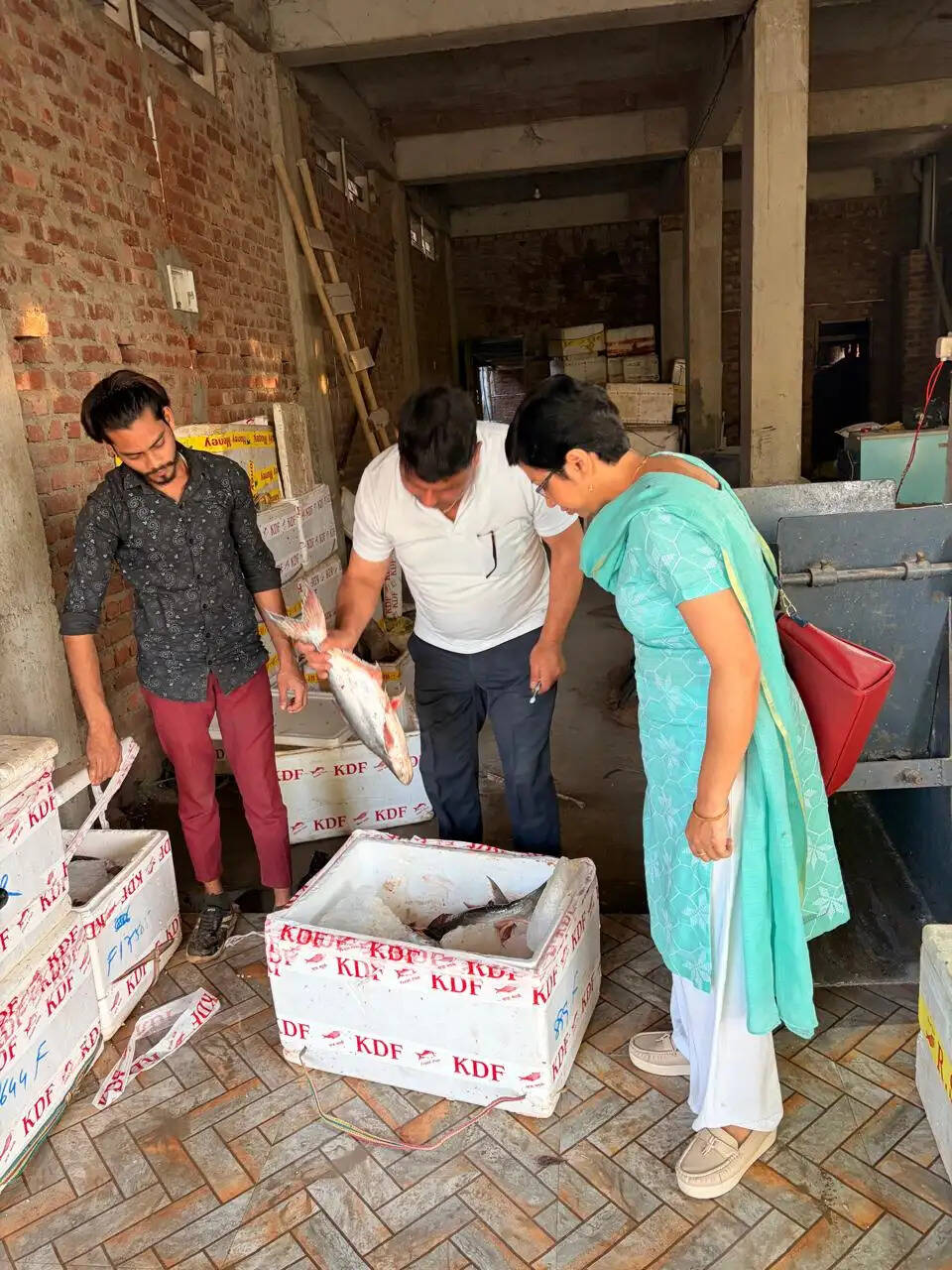 अवैध मत्स्य शिकार एवं बिक्री पर कार्रवाई, 65 किलोग्राम पंगास मछली जब्त
