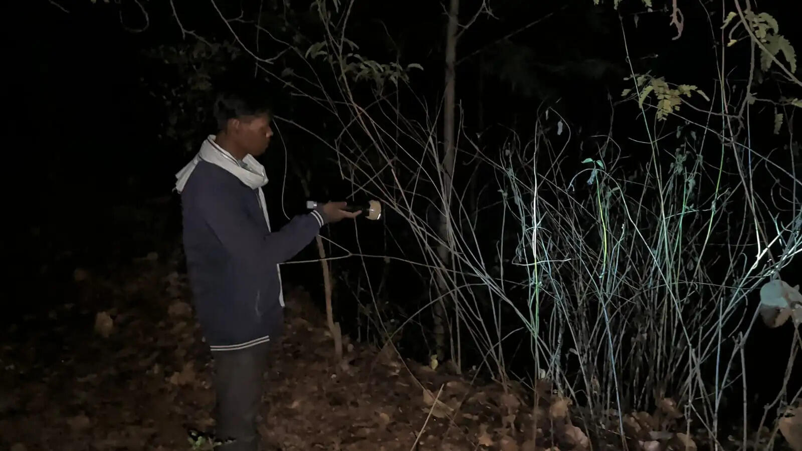 अंबिकापुर : संजय पार्क में फिर लापरवाही, बाड़े से भागा हिरण, वन विभाग में मचा हड़कंप