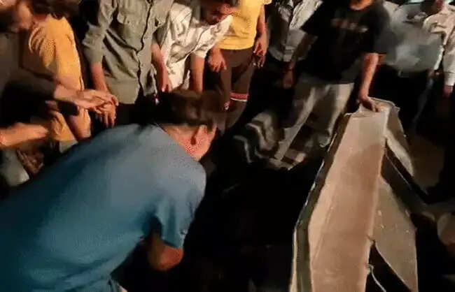 रेवाड़ी: नेशनल हाईवे-48 पर वाहन की टक्कर से पांच गोवंशों की मौत