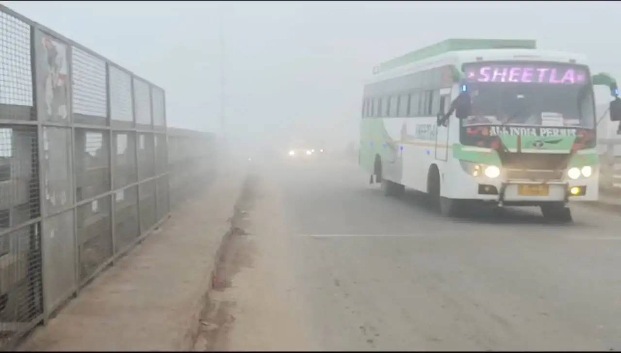 मुरैना: बेमौसम की बारिश थमते ही बढ़ी ठिठुरन, कोहरे ने की वाहनों की रफ्तार धीमी