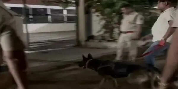 बिलासपुर मस्तूरी गोलीकांड: आधी रात इनामी आरोपित के घर पुलिस की दबिश, ढाई घंटे तलाशी के बाद भी नहीं मिला सुराग