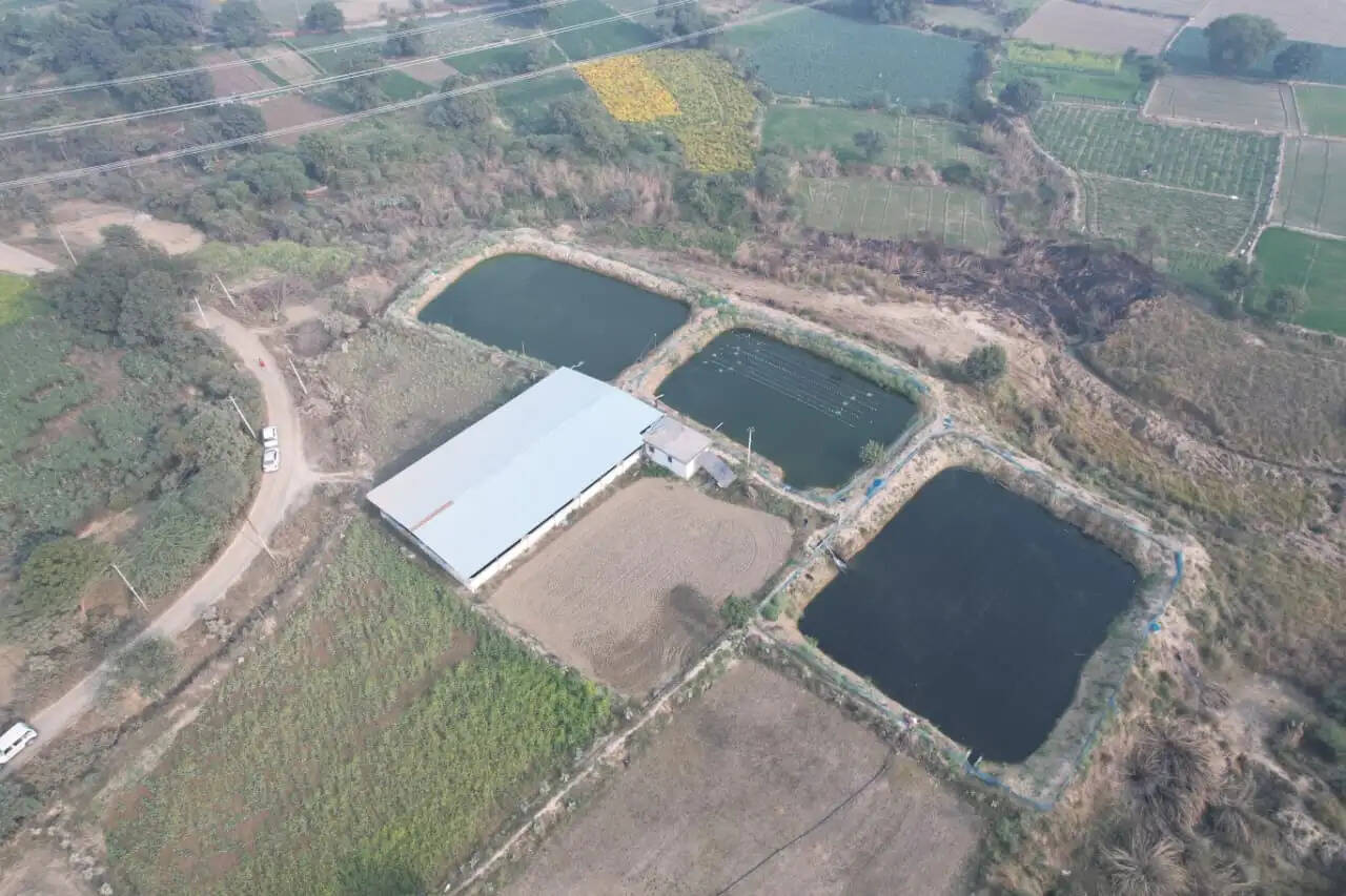 खेत-तालाब योजना से किसानों की बढ़ रही आय : आर.पी. कुशवाहा