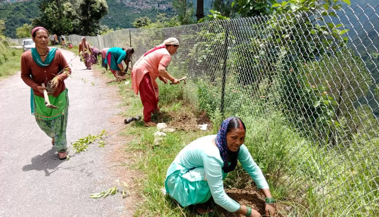 संकल्प अभियान व चरण पादुका गोथल समिति ने रोपे पौध