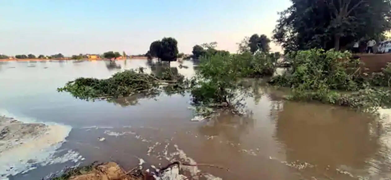 हिसार : सिद्धमुख ब्रांच नहर ने मचाई तबाही, 50 ढाणियां पानी में डूबी