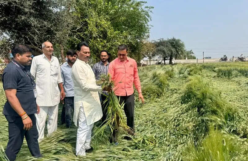 इंदौरः मंत्री सिलावट ने बेमौसम बारिश से प्रभावित क्षेत्रों में सर्वे करने के दिए निर्देश