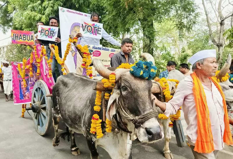 झाबुआ; मतदाताओं को रिझाने हेतु शहर में निकली बैलगाड़ियां