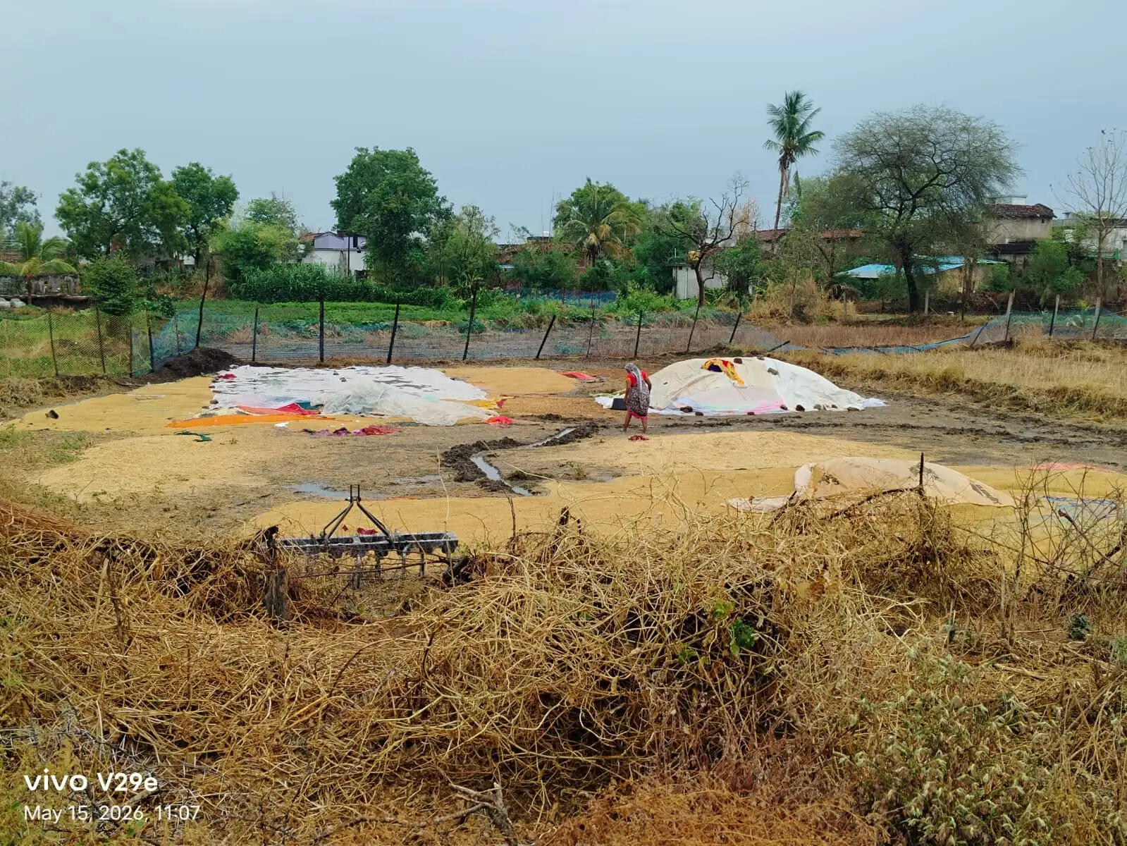 गरज-चमक के साथ डेढ़ घंटे झमाझम बारिश, डाही क्षेत्र हुआ तरबतर