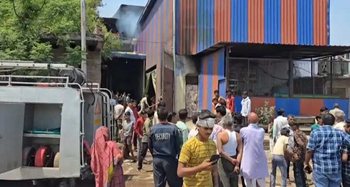 दाल मिल में भीषण आग, लाखों का माल जलकर खाक