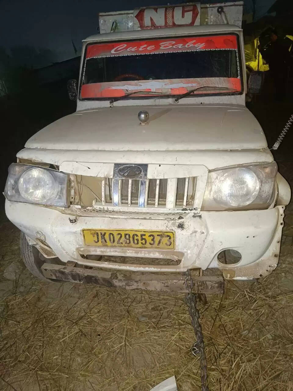 पशु तस्करी प्रयास विफल, 10 मवेशी बचाए गए 2 वाहन जब्त