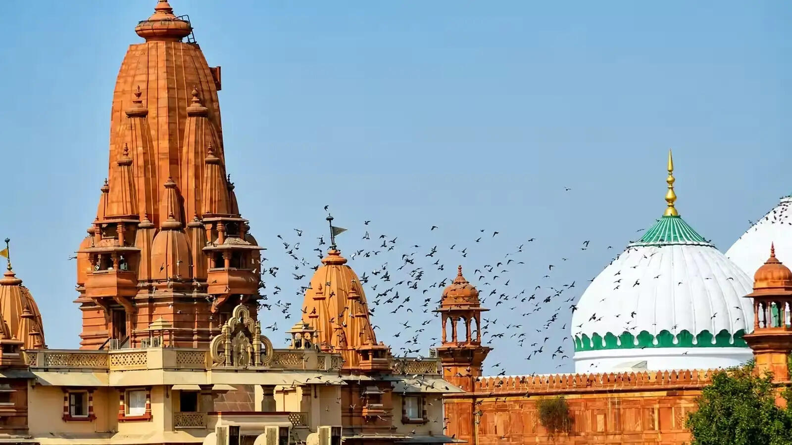 श्रीकृष्ण जन्मभूमि मुक्ति अभियान की रथयात्राओं के सहभागी होंगे सम्मानित