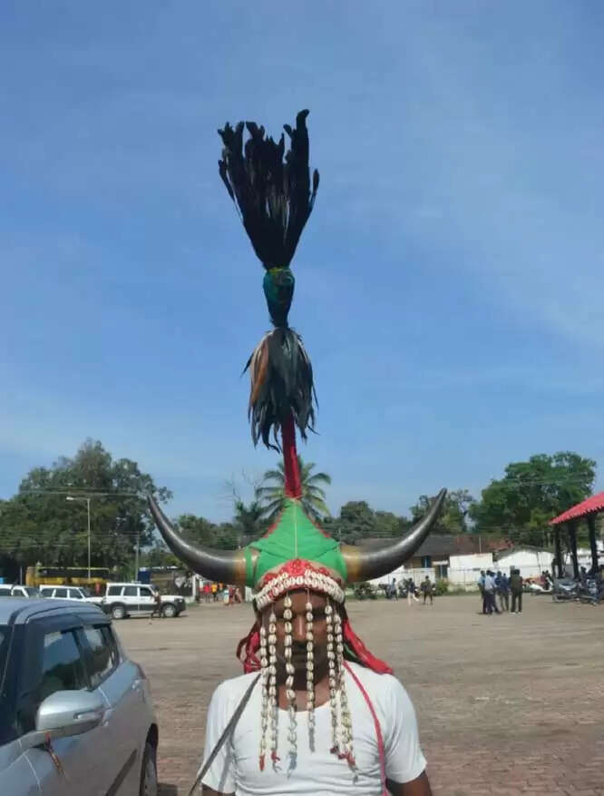 नारायणपुर : अबूझमाड़ का दुर्लभ भृंगराज पक्षी का पंख अबूझमाड़ियों का सरताज