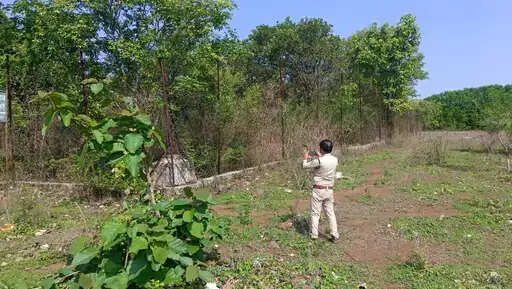 भोपाल में टाइगर का मूवमेंट,&nbsp;मॉर्निंग वॉक के दौरान &nbsp;दंपती का&nbsp;आमना-सामना, वन विभाग ने शुरू की सर्चिंग