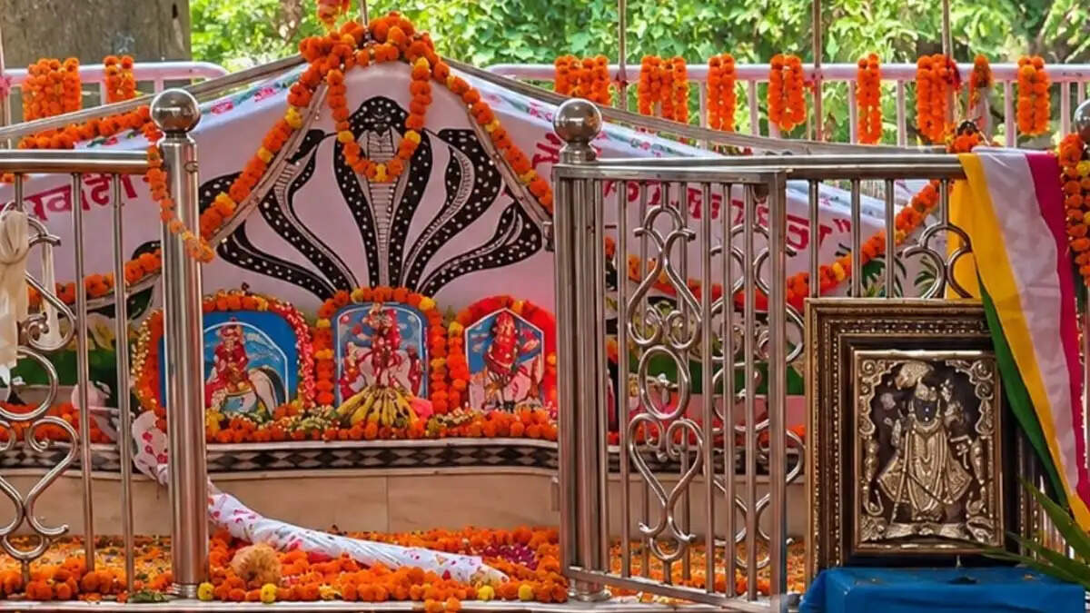 बाबा रामदेव जयंती और तेजा दशमी की धूम