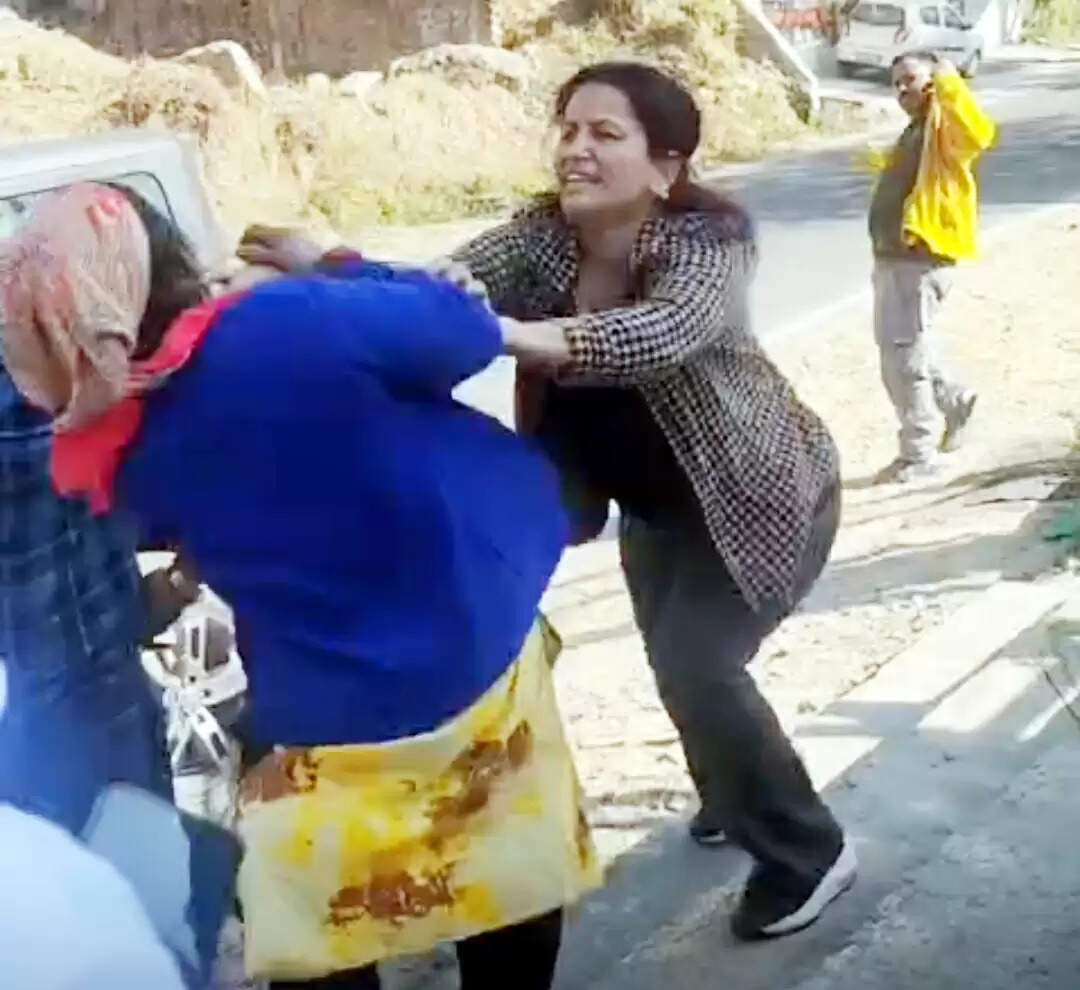 मंगोली क्षेत्र में अराजक तत्वों से सुरक्षा की मांग, पुलिस को सौंपा पत्र